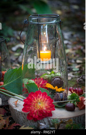 La botanique, lanterne ornement d'automne, attention ! Pour Greetingcard-Use Postcard-Use / dans la partie germanophone du pays, certaines restrictions peuvent s'appliquer Banque D'Images