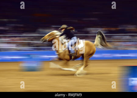 Beijing, USA. 5e Mar, 2019. Une femelle pendant la course cycliste Houston Livestock Show and Rodeo de Houston, Texas, États-Unis, le 5 mars 2019. Credit : Chanson Qiong/Xinhua/Alamy Live News Banque D'Images