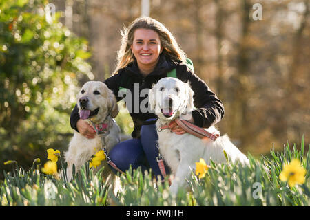 Birmingham, UK. 7 mars, 2019. Chiens d'exposition venant avec leur propriétaire pour le premier jour de Crufts 2019 qui se tiendra à l'NEC plus de quatre jours. 27 000 chiens devraient être indiqués sur les quatre jours, 220 espèces différentes, et avec une estimation de 165 000 amoureux de chien en visite. Crédit : Peter Lopeman/Alamy Live News Banque D'Images