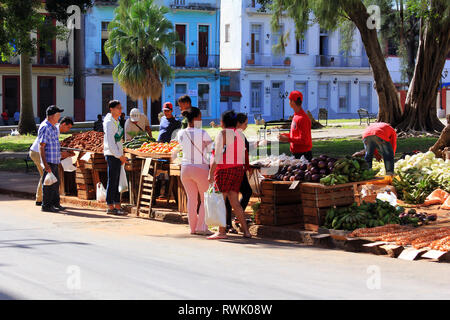 La Havane, Cuba - 11 janvier 2019 : Les gens vendre et acheter des fruits à un marché sur la rue dans la Vieille Havane, Cuba Banque D'Images