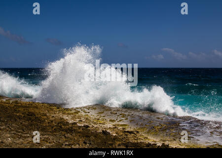 Vagues sauvages au littoral accidenté de la côte est de l'île de Bonaire répandre le haut de pulvérisation contre le ciel bleu Banque D'Images