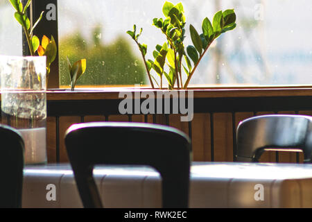 Intérieur d'un café, un bar confortable. Vue de la table, chaises, lampe et des fleurs à la fenêtre Banque D'Images