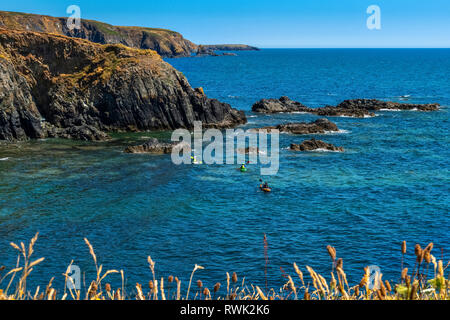 Kayak le long de la côte de cuivre Geopark, County Waterford, Ireland Banque D'Images