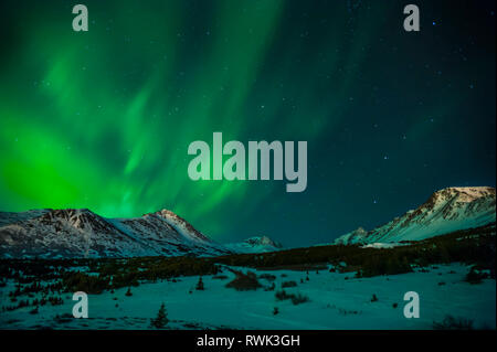 Les aurores boréales (Aurora Borealis) sont vues au-dessus du pic Wolverine dans le parc national de Chugach lors d'une nuit d'hiver près du col Powerline, dans le centre-sud... Banque D'Images