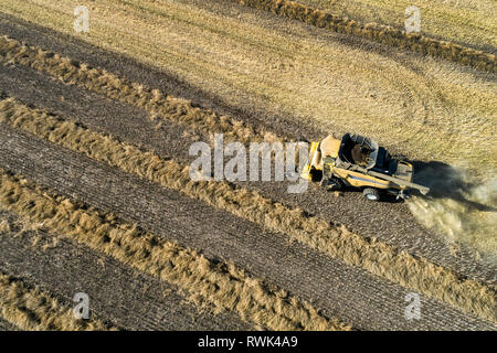 Vue aérienne d'une des rangées de combiner la récolte de canola de l'Ouest, de Beiseker ; Alberta, Canada Banque D'Images
