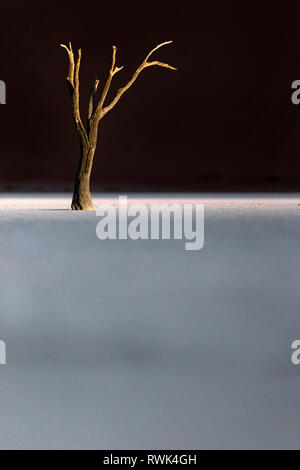 Deadvlei arbres dans la dernière lumière de l'après-midi. Banque D'Images