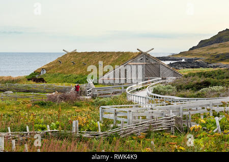 Sod-bâtiment couvert, jardin clôturé et brebis enceinte de Norstead Village Viking et le port de commerce, DE L'Anse aux Meadows, Terre-Neuve, Canada Banque D'Images