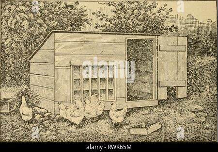 Éléments de l'agriculture ; un texte, des éléments de l'agriculture ; un manuel pour les écoles publiques elementsofagricu00shep Année : 1905 186 ÉLÉMENTS DE L'AGRICULTURE. Les soins et la gestion de la volaille. L'agriculteur moyen paie mais peu d'attention à son troupeau de poules. On n'a pas tenté de suivre un système régulier de l'alimentation, et de l'aviculture est souvent considérée comme un- rentable. La tenue de la volaille nécessite une surveillance constante, et un peu plus d'attention à de- tails de la production d'autres catégories de bétail. Si l'on a une bonne connaissance de l'entreprise, il propose autant d'incitation pour les Banque D'Images