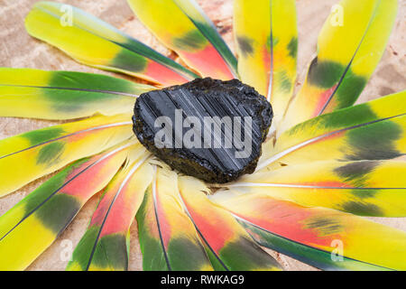 Tourmaline Noire Extra Grade partie du Brésil au milieu d'un cercle composé de plumes de perroquet coloré. Banque D'Images