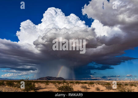 Cumulonimbus nuage avec forte pluie et une tornade à bec près de Parker, Arizona Banque D'Images