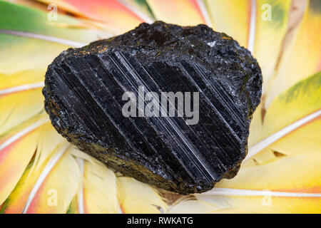 Tourmaline Noire Extra Grade partie du Brésil au milieu d'un cercle composé de plumes de perroquet coloré. Banque D'Images