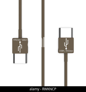 Le rendu 3D de câble USB4 isolé sur fond blanc Banque D'Images