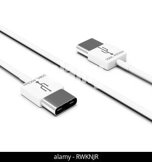 Le rendu 3D de câble USB4 isolé sur fond blanc Banque D'Images