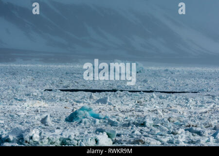 L'océan Arctique et de la glace de mer de brouillard côtier, fjord Wahlenberg, Nordaustlandet, Svalbard, Norvège. Banque D'Images