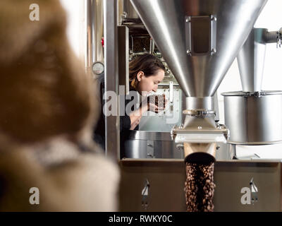 Woman smelling café en grains en usine Banque D'Images