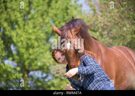 Le Missouri Fox Trotter. Jeune femme rousse avec un hongre alezan sur un pâturage. smooching. La Suisse Banque D'Images