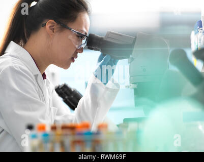 L'affichage scientifique échantillon sur lame de verre avec microscope in laboratory Banque D'Images