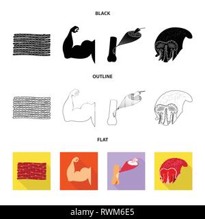 Illustration vecteur de la fibre musculaire et symbole. Collection de fibres et de corps icône vecteur pour stock. Illustration de Vecteur