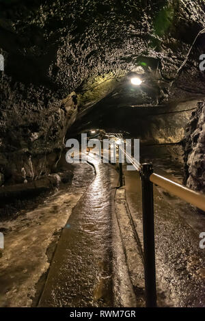 Wind Cave & la caverne de glace dans le japon Fugaku. La Grotte du Vent Fugaku Fuji est entouré par la verdure abondante de l'Aokigahara Jukai forêt. Une fois que vous entrez Banque D'Images