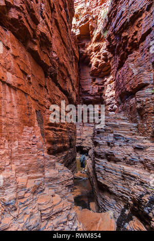 La main courante intérieure, Weano Gorge, parc national de Karijini, Australie occidentale Banque D'Images