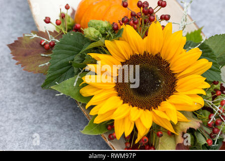 La botanique, l'arrangement de fleurs et de citrouilles , Attention ! Pour Greetingcard-Use Postcard-Use / dans la partie germanophone du pays, certaines restrictions peuvent s'appliquer Banque D'Images