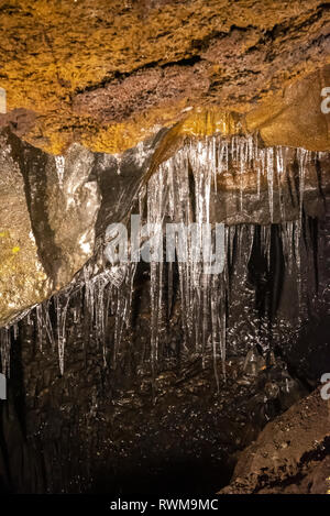 Wind Cave & la caverne de glace dans le japon Fugaku. La Grotte du Vent Fugaku Fuji est entouré par la verdure abondante de l'Aokigahara Jukai forêt. Une fois que vous entrez Banque D'Images