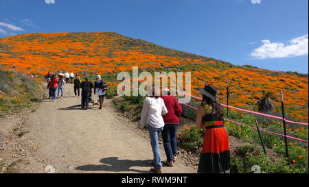Les gens affluent vers la Californie pour assister à la déserts du super 2019 bloom Banque D'Images