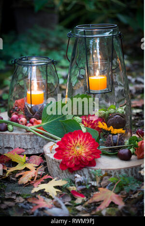 La botanique, lanterne ornement d'automne, attention ! Pour Greetingcard-Use Postcard-Use / dans la partie germanophone du pays, certaines restrictions peuvent s'appliquer Banque D'Images