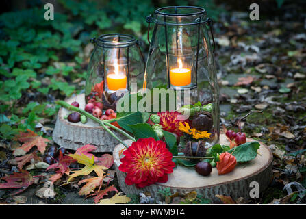 La botanique, lanterne ornement d'automne, attention ! Pour Greetingcard-Use Postcard-Use / dans la partie germanophone du pays, certaines restrictions peuvent s'appliquer Banque D'Images