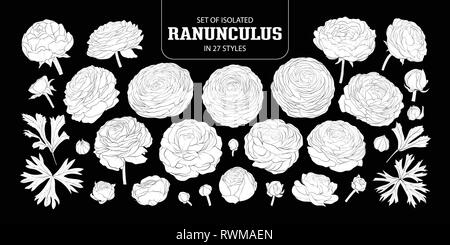 Ensemble de silhouette blanche isolée Ranunculus dans 27 styles. Cute vector illustration fleur dessiné à la main en avion blanc sans contours sur noir backgroun Illustration de Vecteur