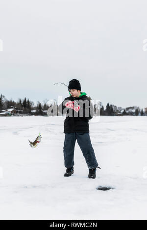 Un jeune garçon attraper un doré jaune alors que la pêche sur glace sur le lac Wabamum lors d'une sortie en famille ; Wabamun, en Alberta, Canada Banque D'Images