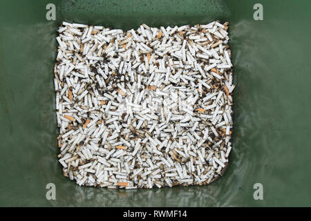 Bin plein de mégots de cigarettes, extrémités, plus de la moitié, fumé en wheelie bin. De nombreux mégots de cigarettes. Banque D'Images