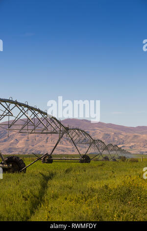 Système d'irrigation en usage dans une ferme de l'île du Sud, Nouvelle-Zélande pendant une période de temps sec, l'été 2019 Banque D'Images