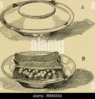 Éléments de l'agriculture, pour utiliser des éléments de l'agriculture, à utiliser dans les écoles elementsofagricu00mcbr Année : 1901 PLANTE UN AVAIT leur semence 37 allié à ni ne germer si la température est maintenue en dessous de 40° ou 116° ci-dessus. Si certains de ces mêmes graines être jlanted 2profondément sous la surface du sol, à pied ou plus, ils n'auront jamais été soulevé, mais aussi sur la Fig. 3.-appareil simple pour la germination des graines : A, B ; fermé, ouvert (du Yearbook, U.S. Dept. Agr., 1895, page 181.) surface Ihey germer facilement. Des expériences de ce genre nous apprennent que les graines doivent être fournis avec certaines quantités de chaleur, de l'eau Banque D'Images