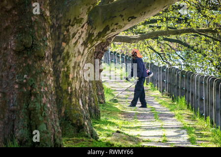 L'homme dans les garnitures de casque de sécurité ronde pelouse envahie par les arbres coupe-herbe Banque D'Images