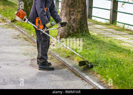 Homme avec les garnitures usées débroussailleuse pelouse envahi par la route à côté des arbres ronds Banque D'Images