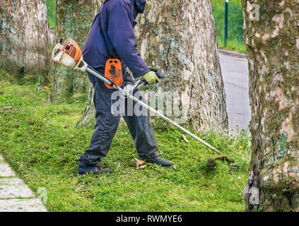 Homme avec les garnitures usées débroussailleuse pelouse envahi par la route à côté des arbres ronds Banque D'Images