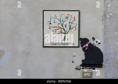 Gattolandia, refuge d'animaux pour les chats malades ou blessés à Cividale del Friuli, Frioul-Vénétie Julienne, Italie Banque D'Images