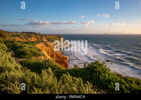 Belle l'herbe dans le vent au sommet des falaises de hauteur du point Vicente avec des vagues s'écrasant sur la côte rocheuse au-dessous, Rancho Palos Verdes, Califor Banque D'Images