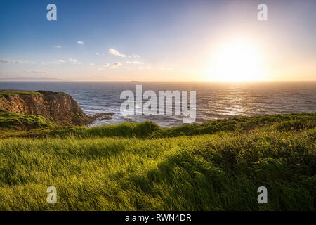 Belle l'herbe dans le vent au sommet des falaises de hauteur du point Vicente avec des vagues s'écrasant sur la côte rocheuse au-dessous, Rancho Palos Verdes, Califor Banque D'Images