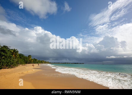 Belle plage en Martinique, Caraïbes. Caraïbes Martinique plage les salines. Banque D'Images