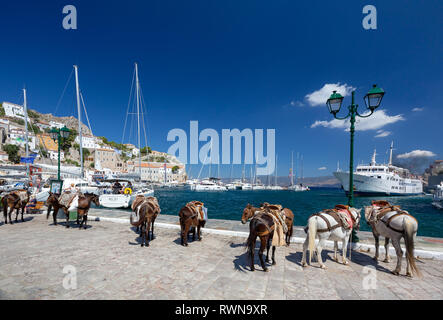 L'île d'Hydra, golfe Saronique, Grèce les ânes et chevaux le seul moyen de transport dans le village Banque D'Images