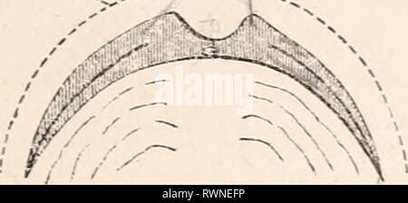 Les éléments d'embryologie (1874) Les éléments d'embryologie humaine elementsofembryo01fost Année : 1874 -rKP C *J B Banque D'Images