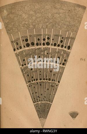 Éléments de chimie agricole en éléments de chimie agricole dans un cycle de conférences pour le Conseil de l'Agriculture elementsofagricu00davy Année : 1821 Fig' io. Banque D'Images