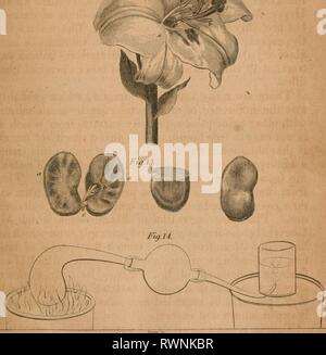 Éléments de chimie agricole en éléments de chimie agricole dans un cycle de conférences pour le Conseil de l'Agriculture elementsofagricu00davy Année : 1821 p. 64 la FIQ. 12. Banque D'Images