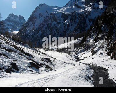 En marche au belvédère de Monte Viso, du Parc régional de Queyras, France Banque D'Images