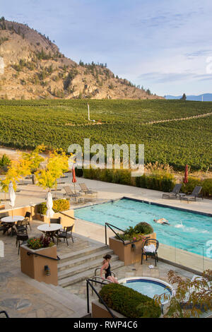 Chevêche des terriers Estate Winery, piscine, Oliver, Okanagan Valley, British Columbia, Canada Banque D'Images