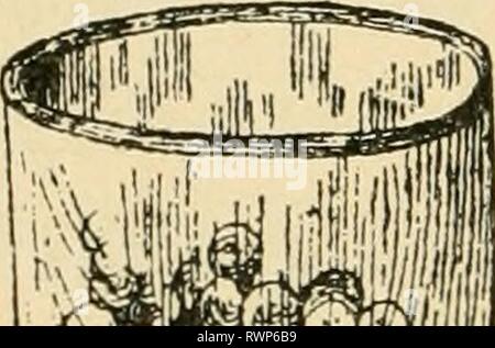 Éléments de l'agriculture, pour utiliser des éléments de l'agriculture, à utiliser dans les écoles elementsofagricu00mcbr Année : 1901 90 ÉLÉMENTS DE L'AGRICULTURE Fig. 12, et le montant total de l'humidité du film que les marbres aurait est représenté dans le tube placé à côté de la gorge. Le sol dans l'autre tumbler (Fig. 13) est du même poids que les marbres de la Fig. 12, et elle représente les marbres réduit à la finesse du sable commun. Son renforcement pour}^ holding iilm humidité est représenté par l'eau dans le tube debout (Fig. 13). Le poids des matières est identique dans chaque gobelet, et la raison pour laquelle o Banque D'Images