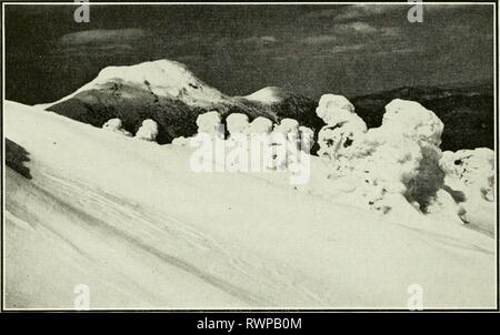 Éléments d'écologie (1954) Éléments de l'écologie de l'elementsofecolog00Cl Année : 1954 Température 176 Fig. 5.17. Vue d'hiver de la ligne des arbres sur Mt. Mansfield, Massachusetts, avec en premier plan des épinettes encastré dans la glace. L'action du gel sévère et d'autres effets des influences climatiques Réduire les arbres rabougris de nains. Banque D'Images