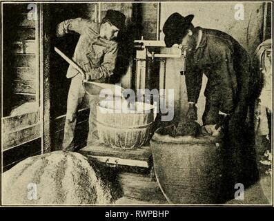 Éléments de la pratique agricole, élaboré les éléments d'une pratique agricole, préparé spécialement pour l'enseignement de l'agriculture primaire ; elementsoffarmpr01wils Année : 1915 194 ÉLÉMENTS D'EXPLOITATION AGRICOLE à la 11.01 livres fournis par la ration, fait 11,38 livres, soit environ ce qui est requis. Caractéristiques de la ration précédente.-Il n'est habituellement pas de- sirable pour nourrir une aussi grande proportion de maïs pour les vaches laitières comme est fourni par cette ration, que le maïs a tendance à produire des matières grasses plutôt que de lait. Mais quand le trèfle hay, qui est riche en protéines, est alimenté, une forte proportion de maïs ou d'autres grains azotés peuvent Banque D'Images